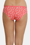 Zivame Anti-Microbial Low Rise Full Coverage Bikini Panty (Pack of 3) - Multicolor — thumbnail 3